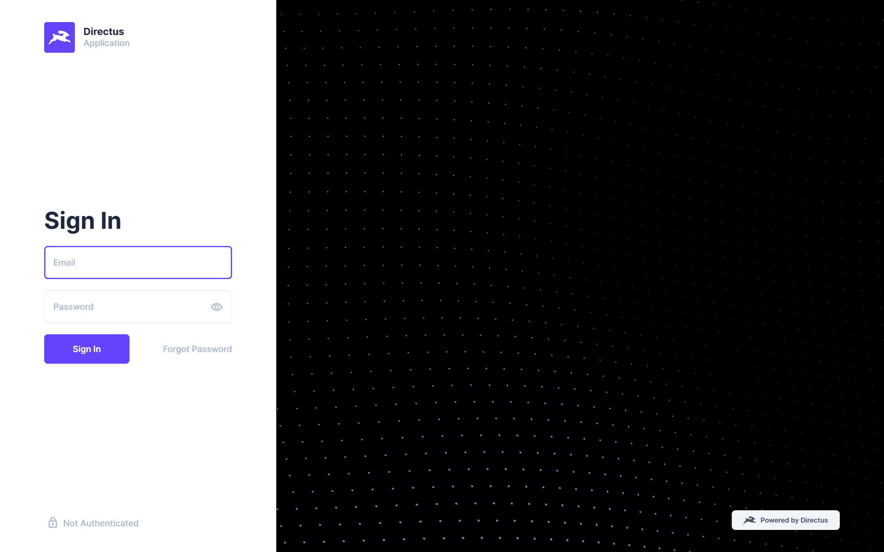 Directus — admin giriş ekranı (relay üzerinden)