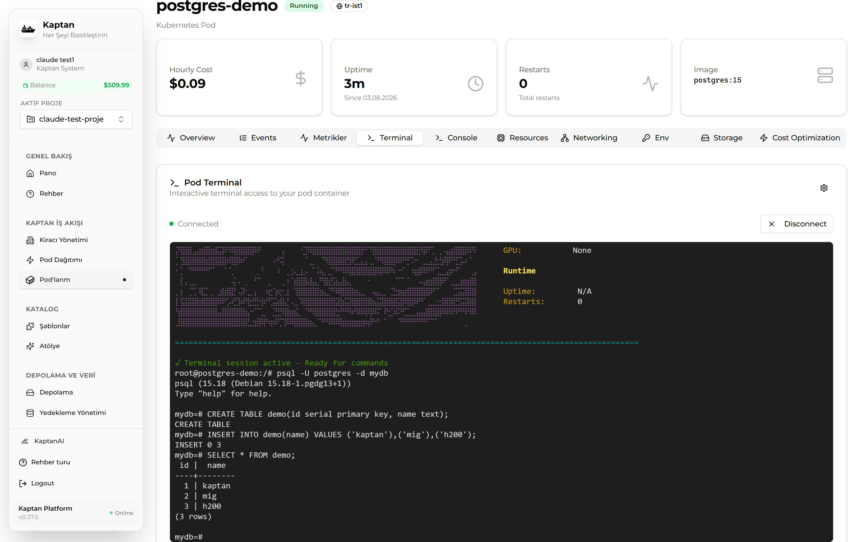 PostgreSQL — pod terminalinde gerçek SQL oturumu